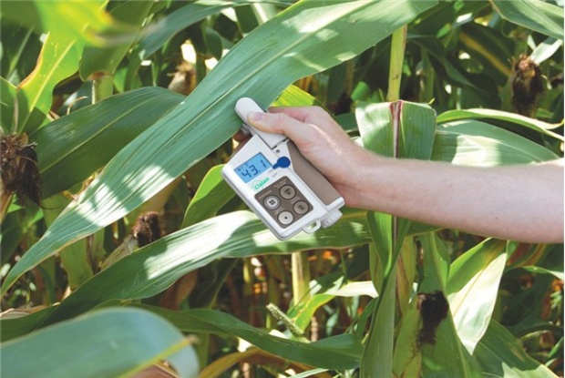 plant chlorophyll instrument