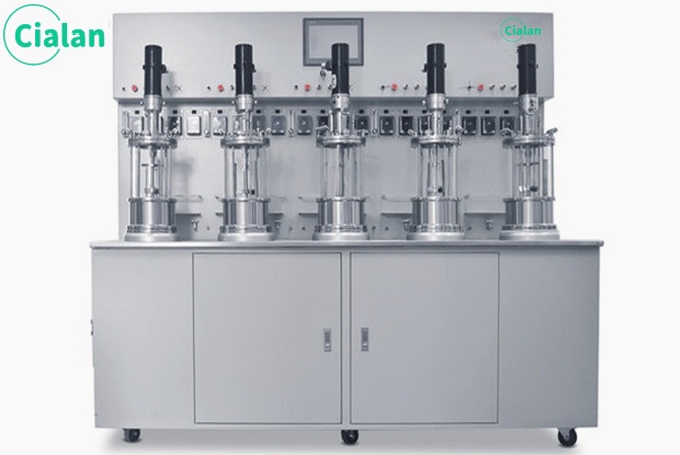 stirred type bioreactor