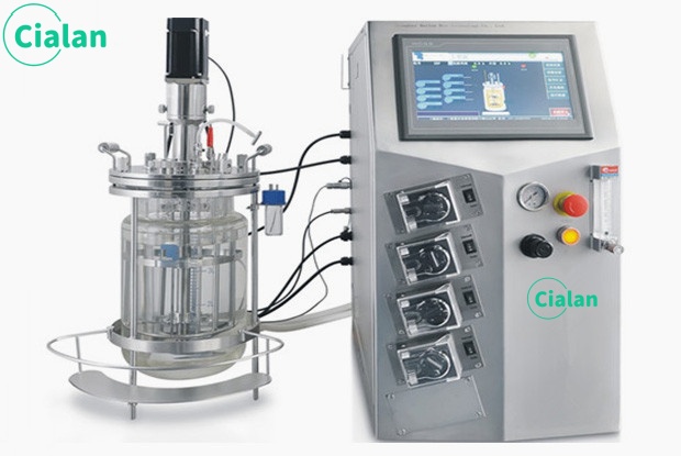 micro bioreactors