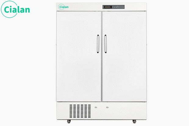 standing chest freezer