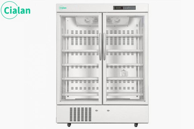 vertical chest freezer