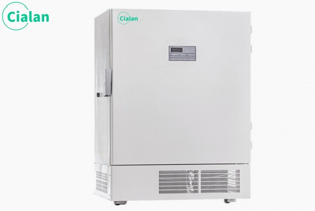 best upright deep freezer