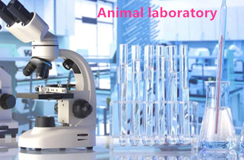 animal laboratories instruments