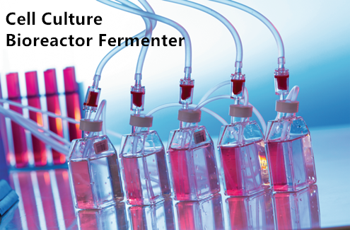 bioreactor fermenters