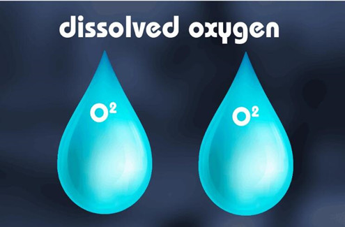 dissolved oxygen meter