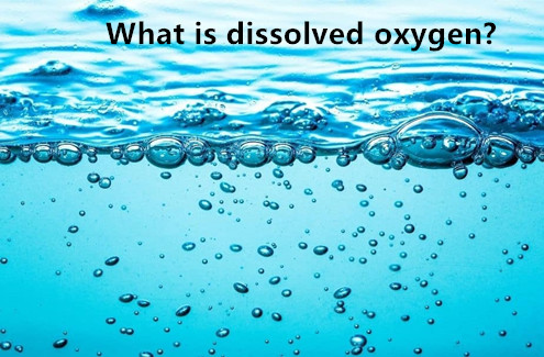 dissolved oxygen meter