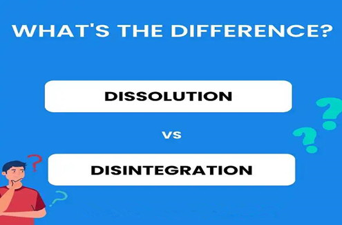 disintegration tester and dissolution tester