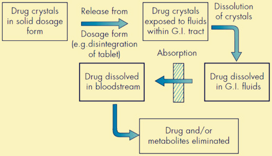 disintegration tester and dissolution tester