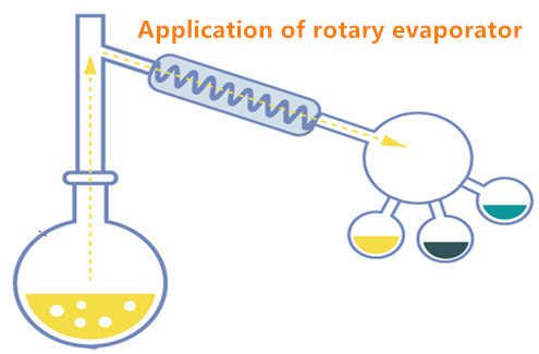 rotary vacuum evaporator 