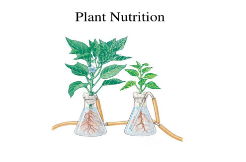 plant nutrition analyzer