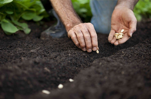 seed air blower