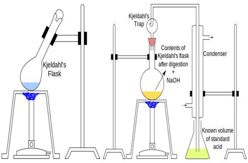 kjeldahl nitrogen analyzer